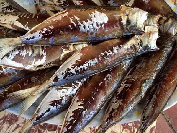 Cá nục một nắng – Khay 500gr